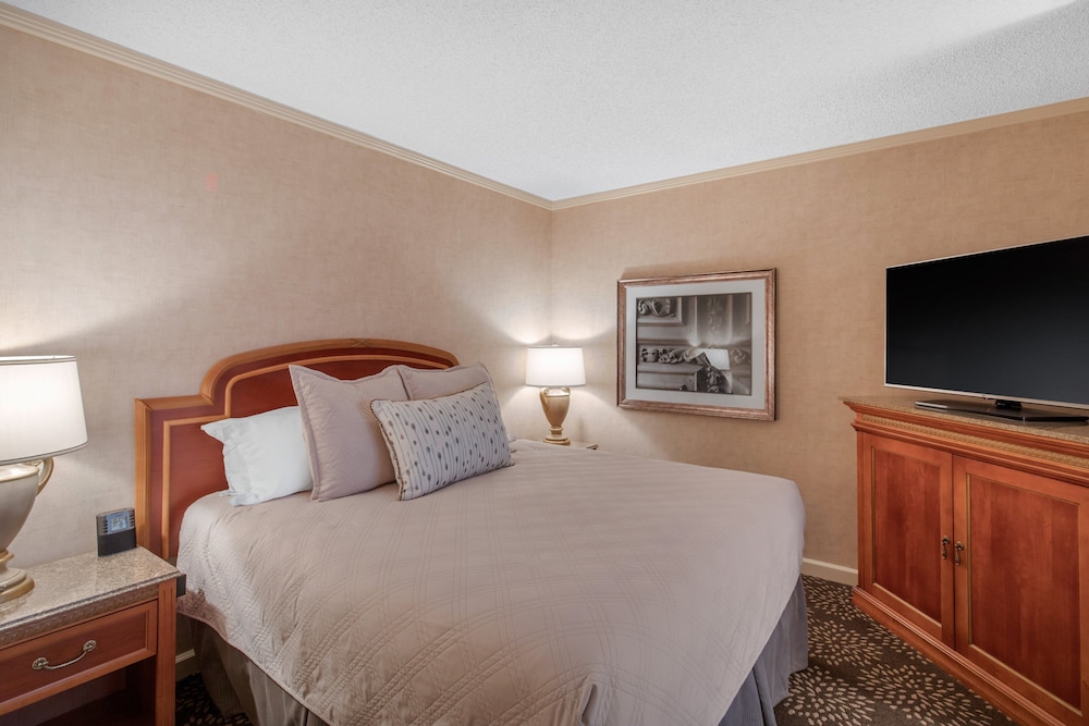 Suite, 1 King Bed - Photo 11