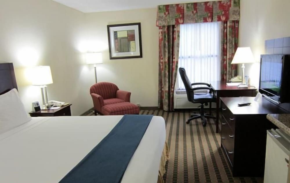 Standard Room, 1 King Bed, Non Smoking, Microwave - Photo 2