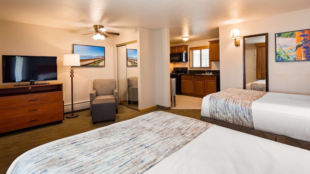 Standard Room, 2 Double Beds, Non Smoking, Kitchenette (Pet Friendly) photo 3