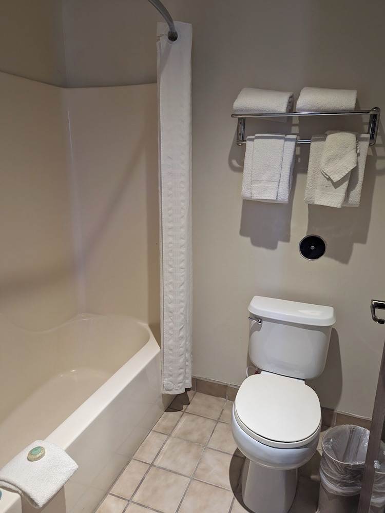 Standard Suite, Multiple Beds (Studio Room (No Pets)) - Photo 8