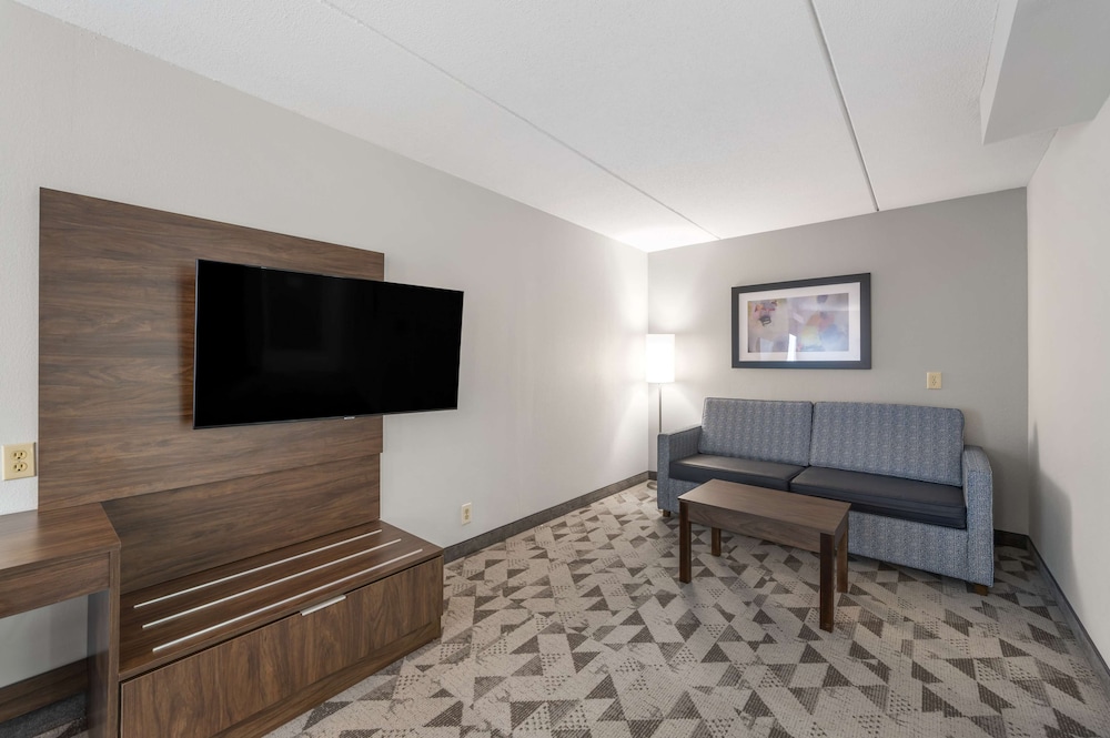 Suite, 1 King Bed, Non Smoking, Refrigerator & Microwave (with Sofabed) photo 3