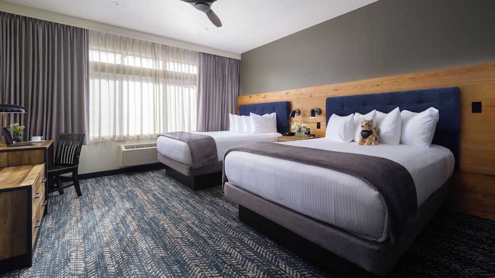 Junior Suite, One Bedroom, 2 Queen Beds - Photo 2