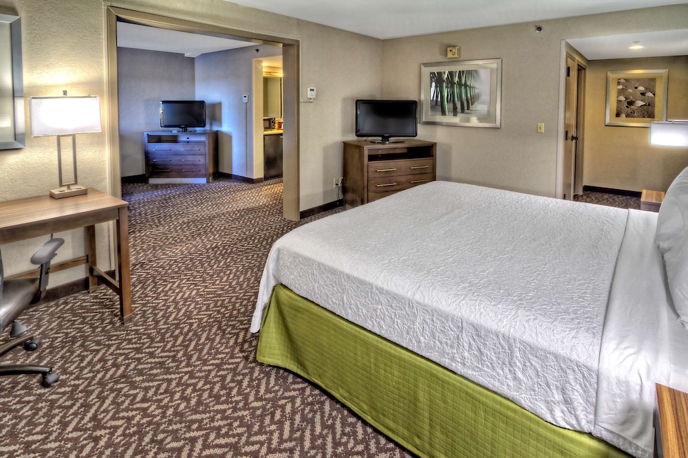 Suite, 1 King Bed, Accessible (Hearing) photo 1