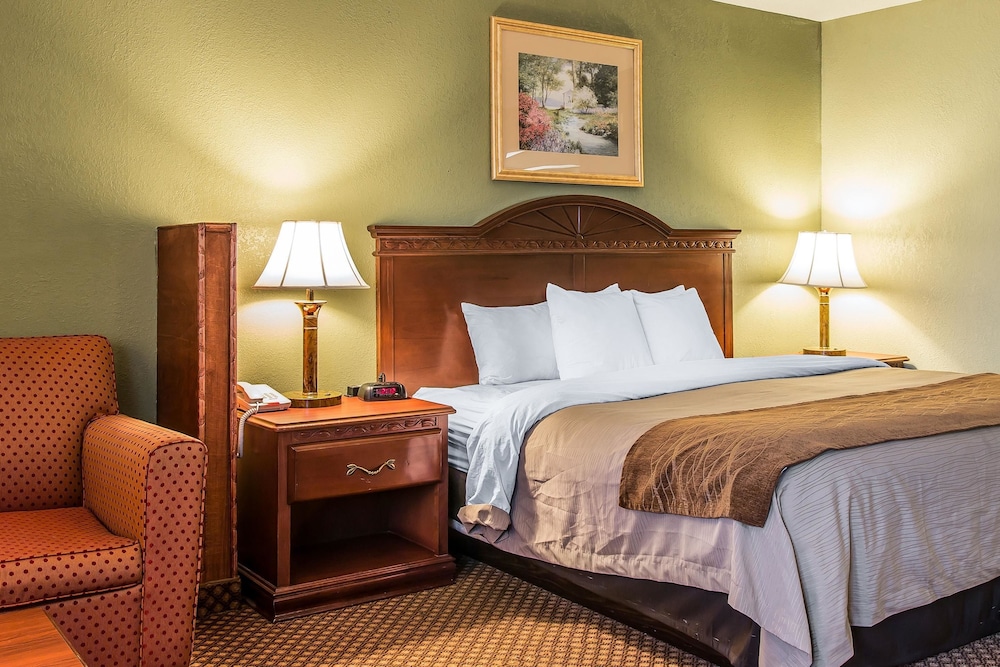 Standard Room, 1 King Bed with Sofa bed photo 2