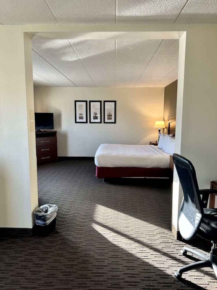 Superior Suite, 1 King Bed, Non Smoking (One-Bedroom) photo 3