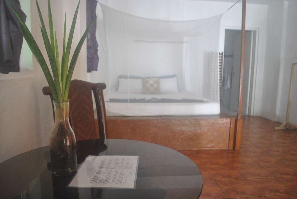 Standard Double Room - Photo 1