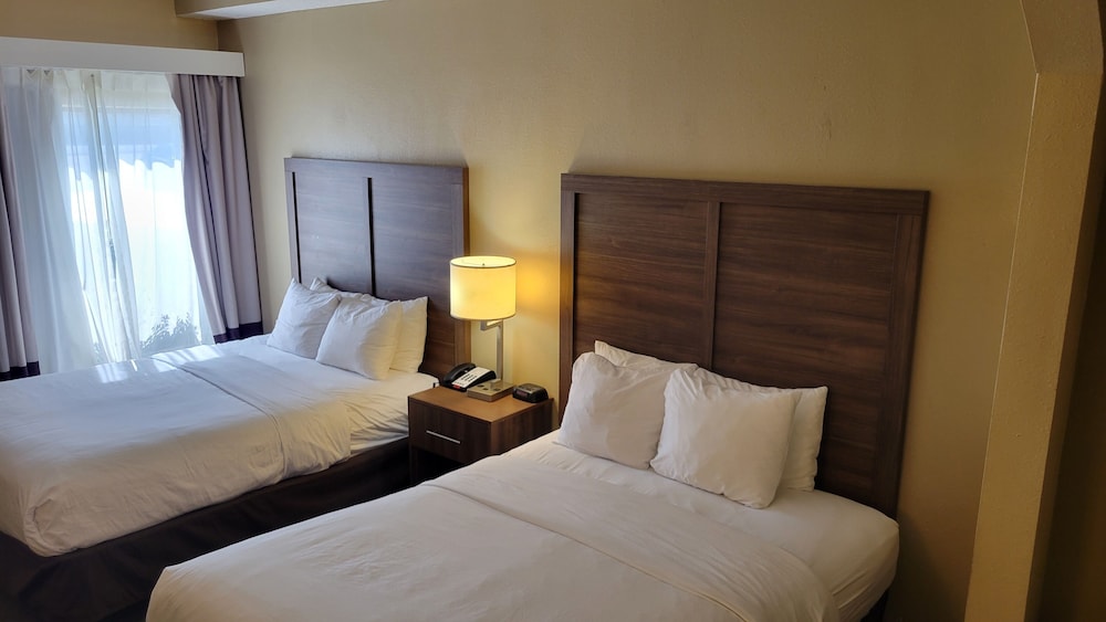 Suite, Multiple Beds, Non Smoking - Photo 16