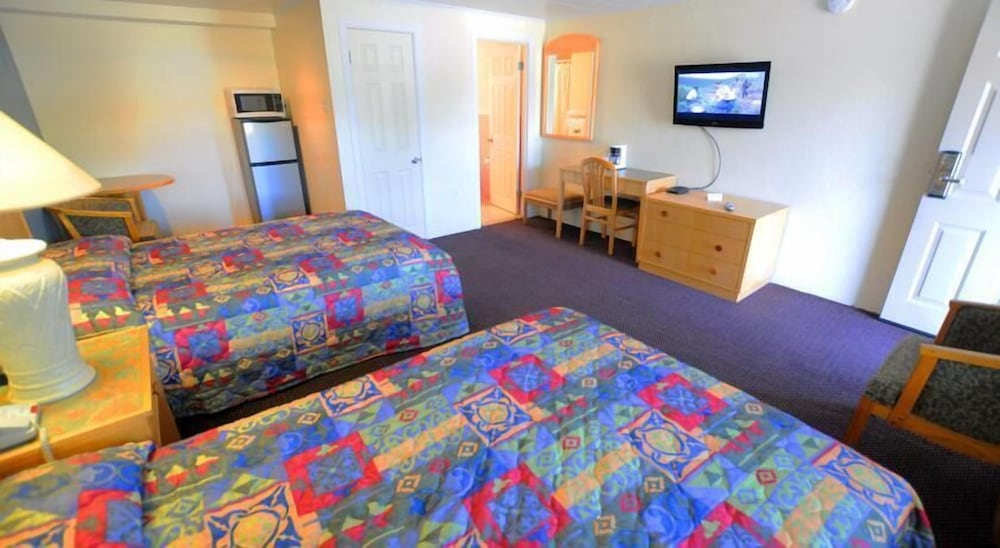 Single Room, 2 Double Beds photo 1