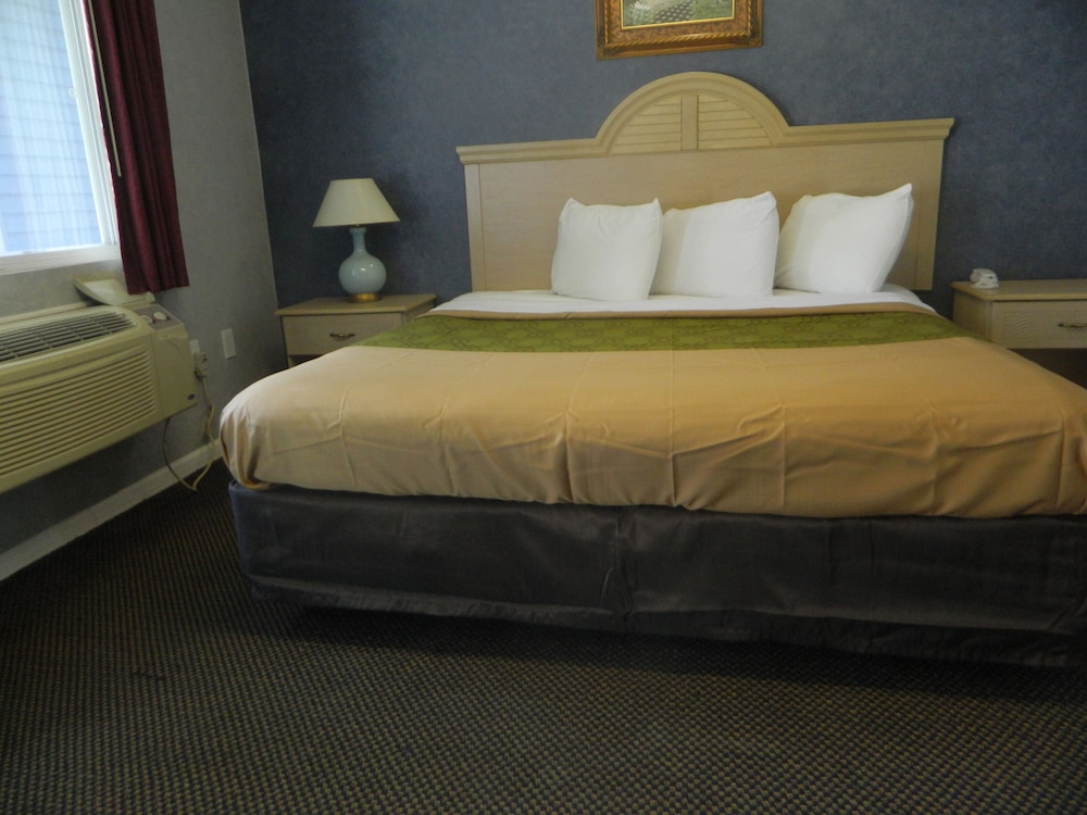 Room, 1 King Bed, Accessible photo 1