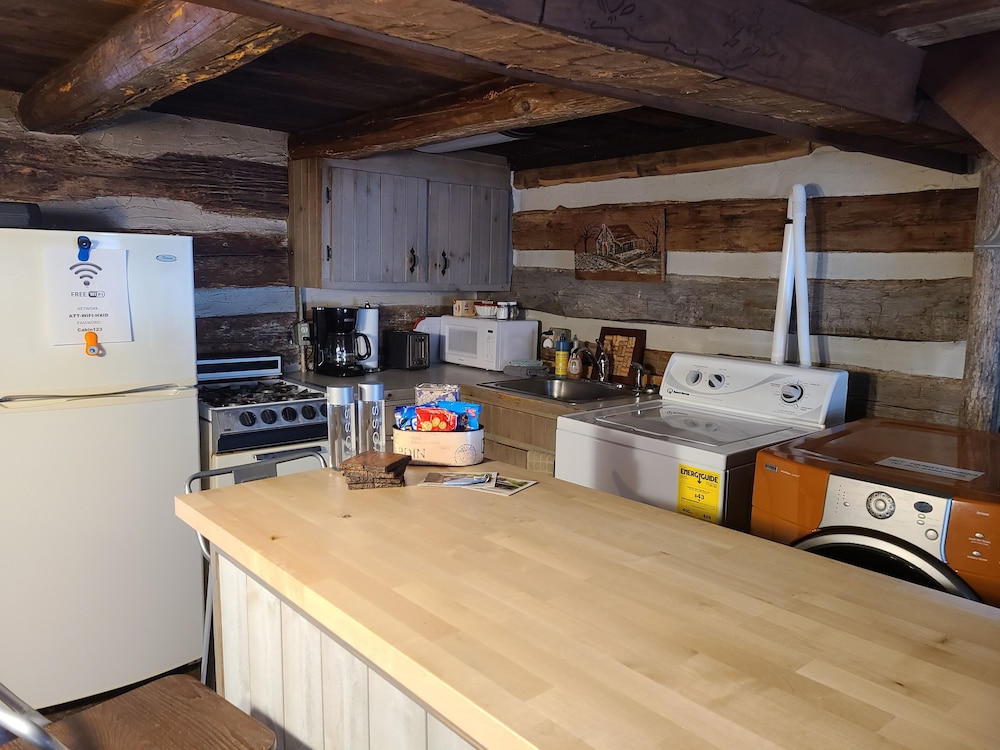 Family Cabin, Private Bathroom (Logwood) photo 3