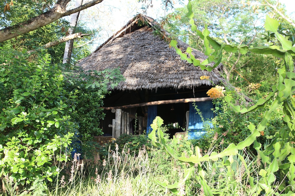 Family House (Sita) photo 1