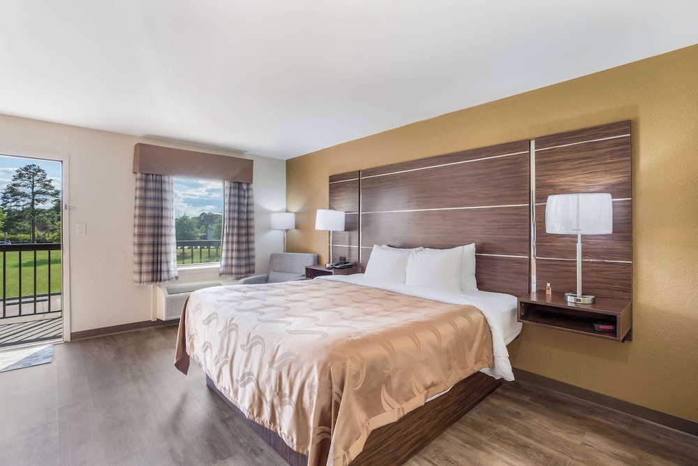 Suite, 1 King Bed with Sofa bed, Non Smoking (Efficiency, Upgrade) photo 3