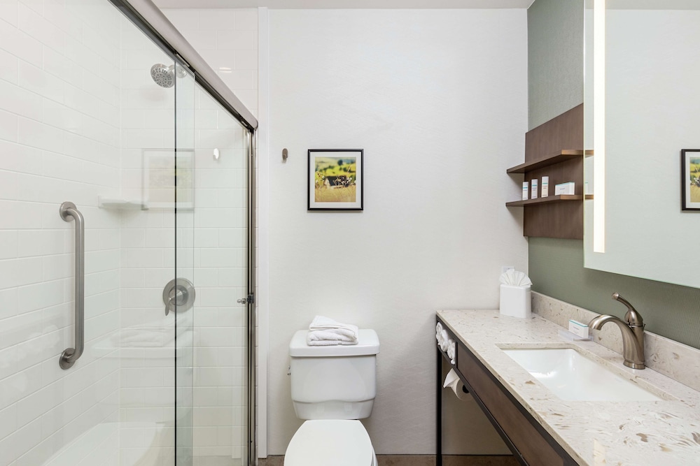 Room, 1 King Bed, Accessible (Roll-In Shower) photo 2