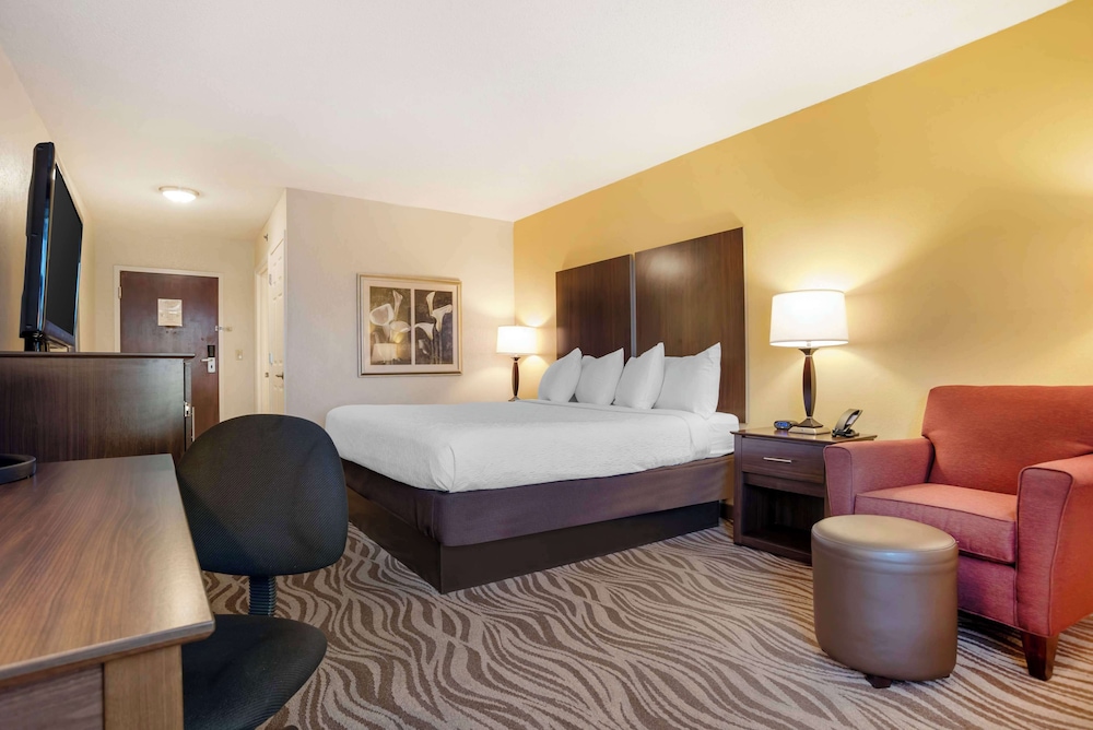 Standard Room, 1 King Bed, Non Smoking, Refrigerator & Microwave (Pet Friendly) photo 3