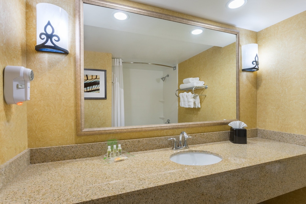 Standard Room, 1 King Bed, Accessible (Communications) - Photo 2