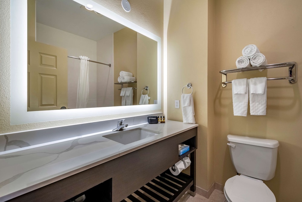 Standard Room, 1 King Bed, Accessible, Bathtub - Photo 4