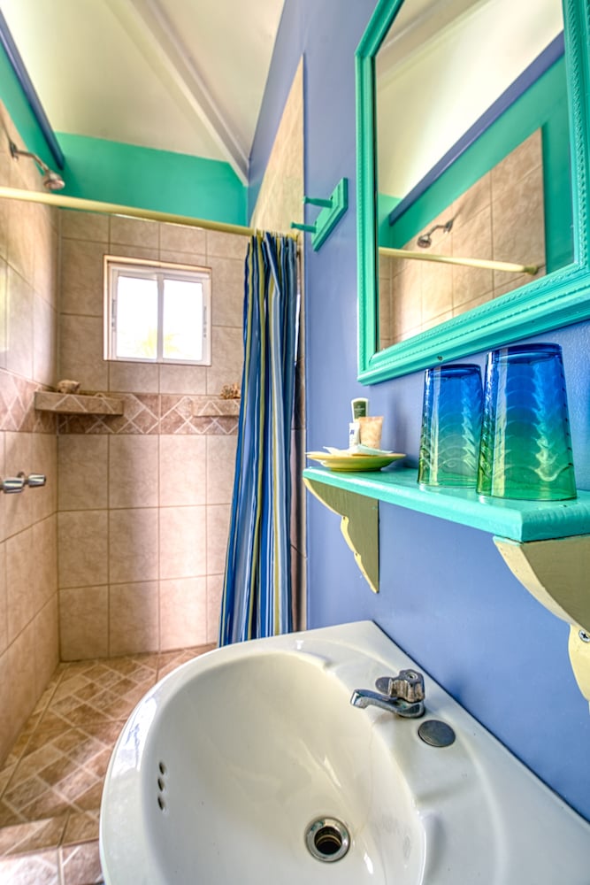 Dolphin Overwater Bungalow photo 2