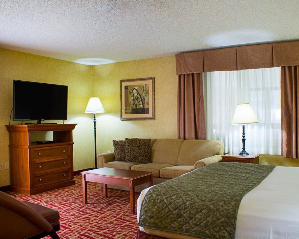 Suite, 1 King Bed with Sofa bed, Non Smoking (Upgrade) - Photo 1