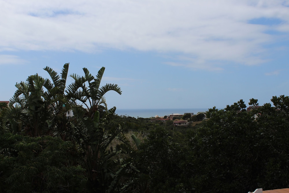 Room, Balcony (Dolphin) photo 1