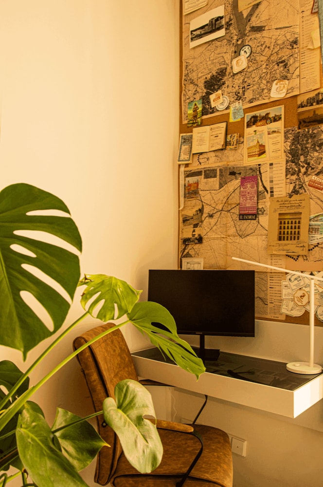City Studio photo 3