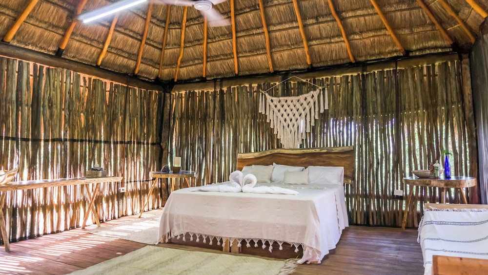 Comfort Room, Multiple Beds, Patio, Pool View photo 2