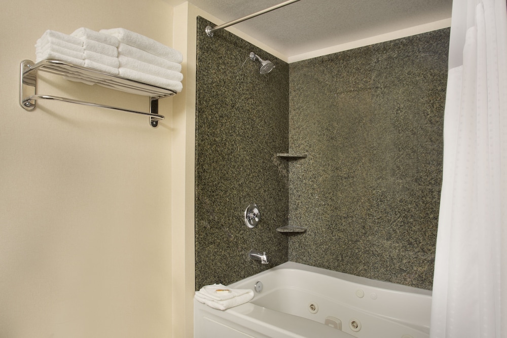 Standard Room, 1 King Bed, Jetted Tub - Photo 4