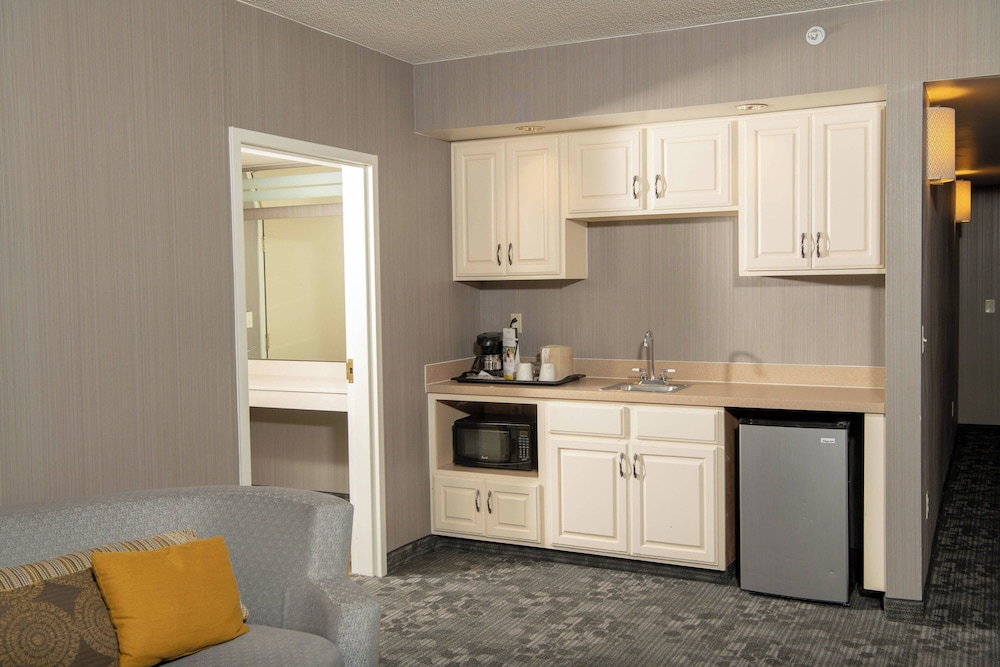Suite, 1 Bedroom photo 2