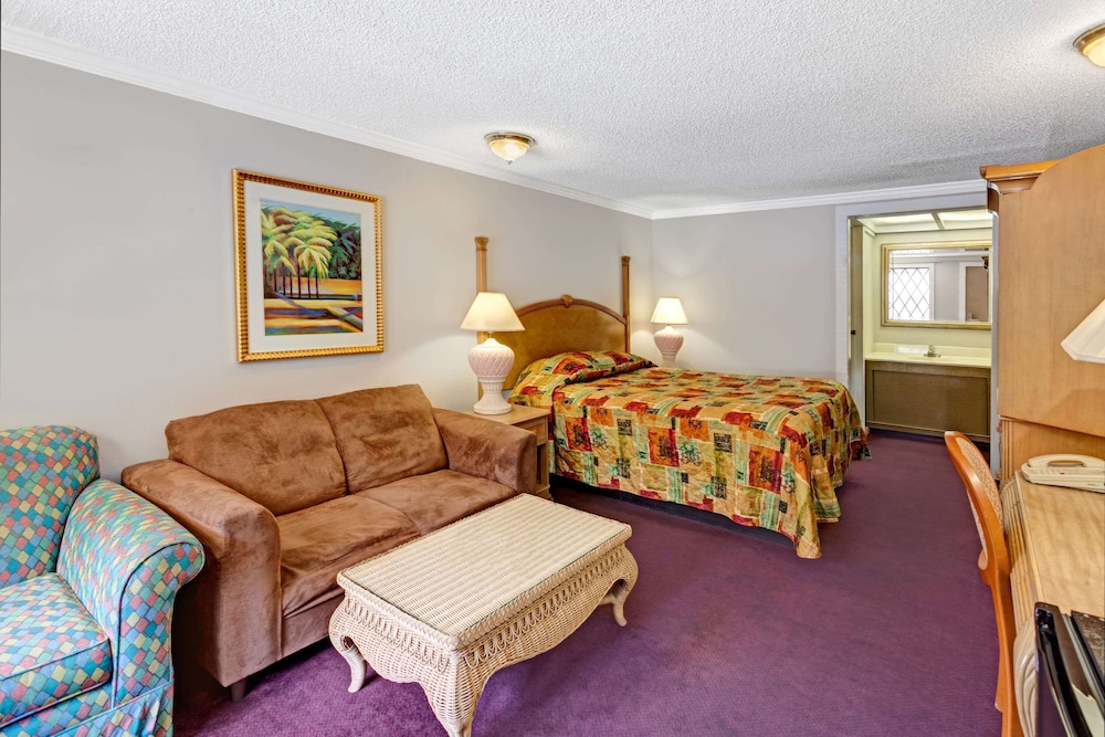 Room, 1 King Bed