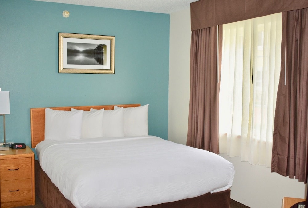 Suite, 1 Queen Bed photo 2
