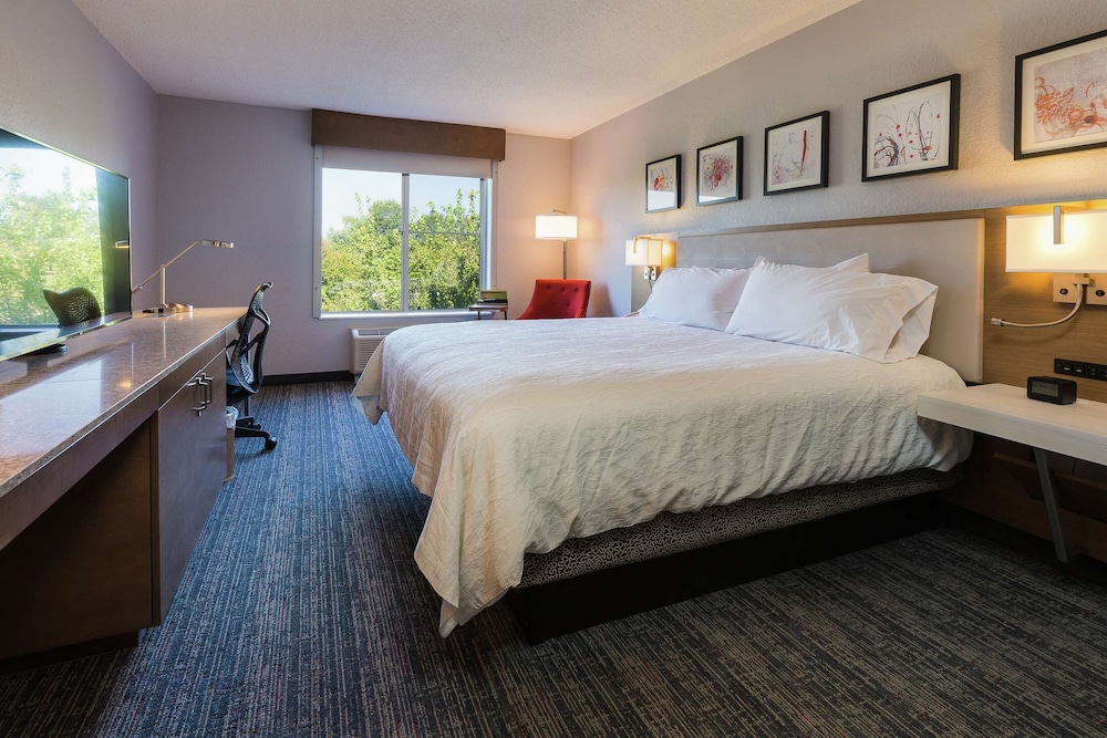 Room, 1 King Bed, Accessible - Photo 4