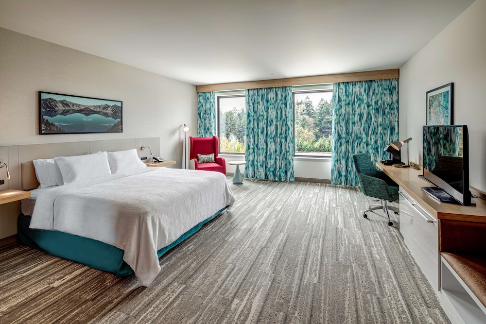Room, 1 King Bed, Accessible, Bathtub (Hearing) - Photo 3