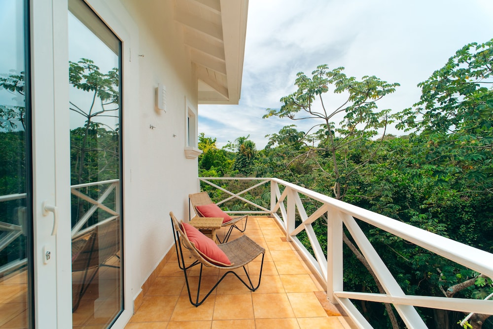 Nature View King Suite photo 2
