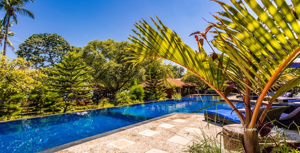 Family Pool Bungalow photo 2