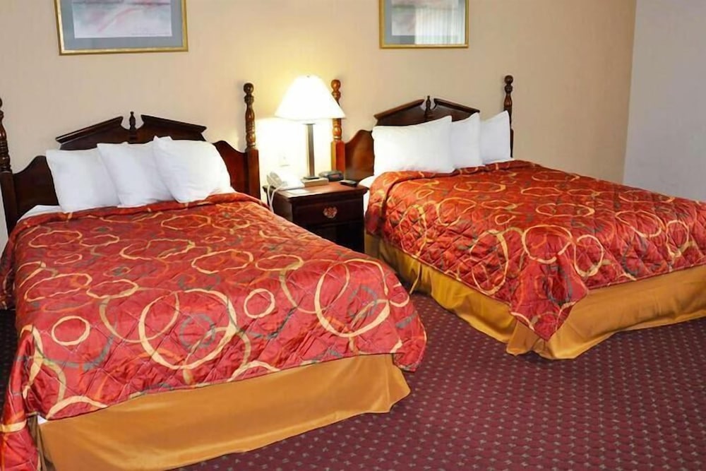 Double or Twin Room photo 1