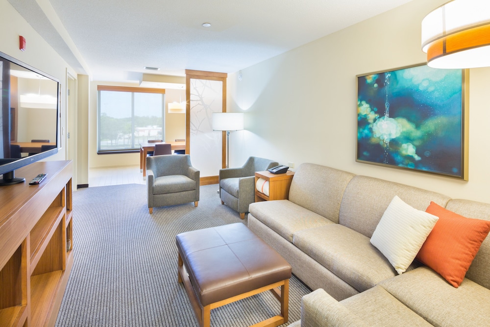 Suite, 1 King Bed photo 1
