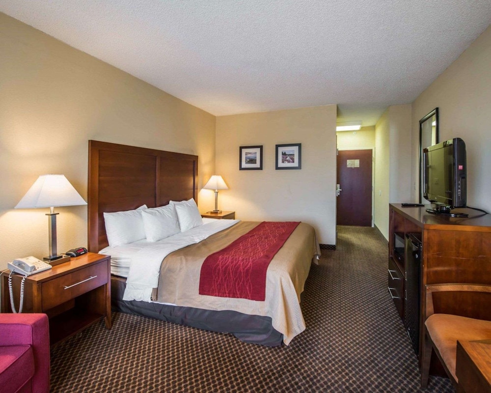 Standard Room, 1 King Bed, Non Smoking - Photo 3