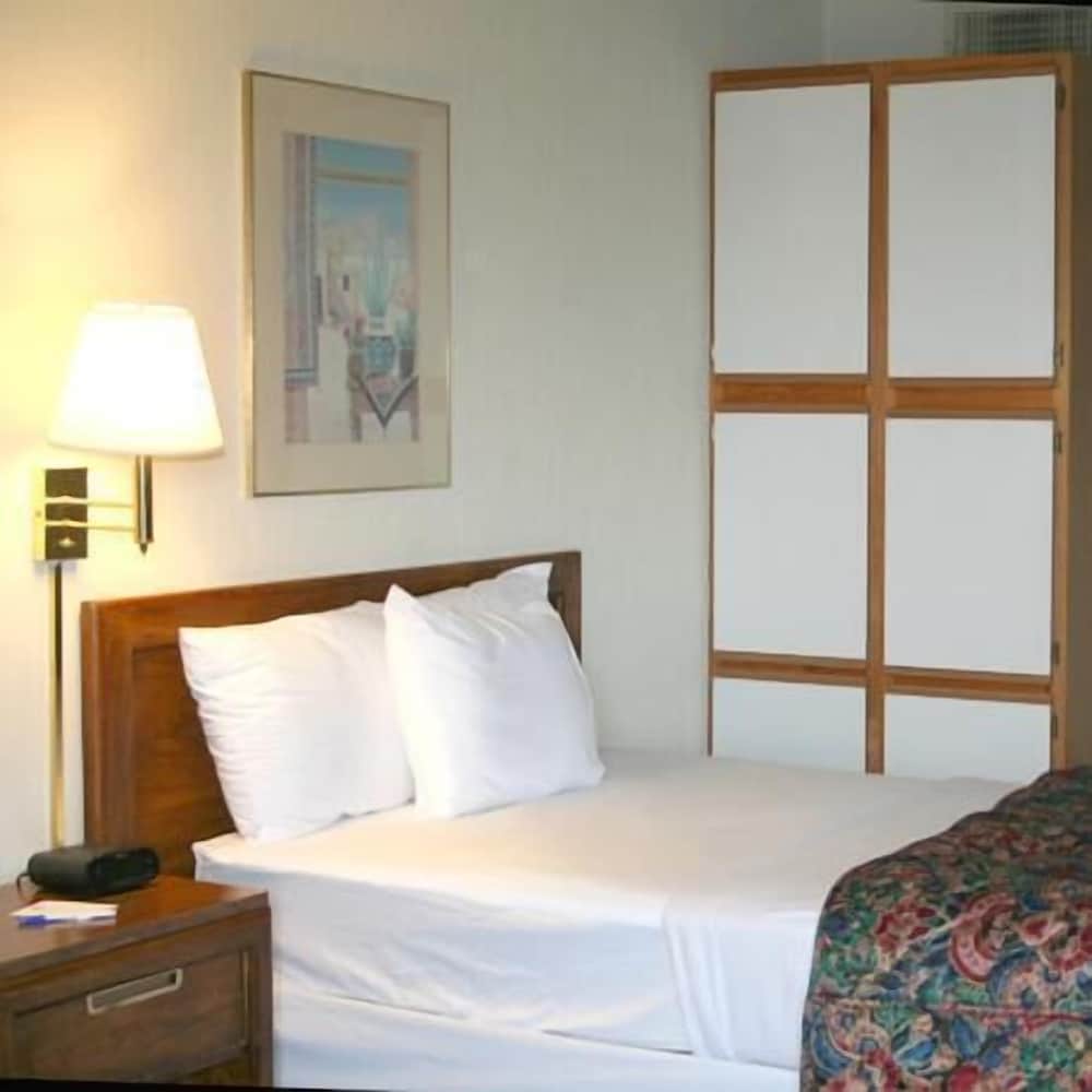 Standard Room, 1 King Bed, Refrigerator & Microwave photo 2