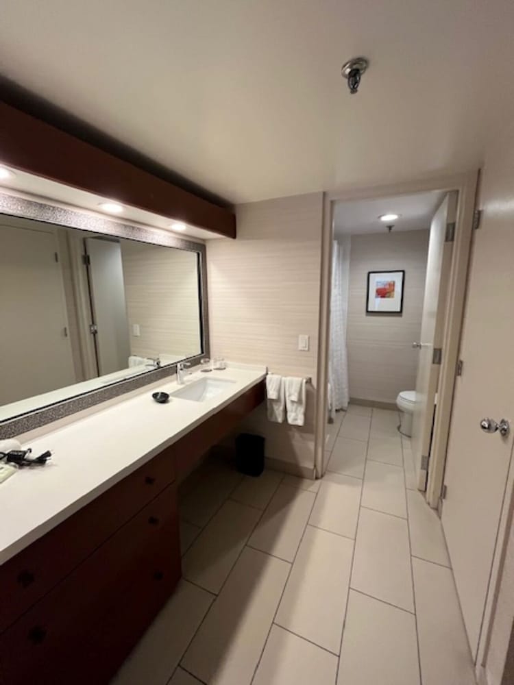 Deluxe Suite, Multiple Beds - Photo 16