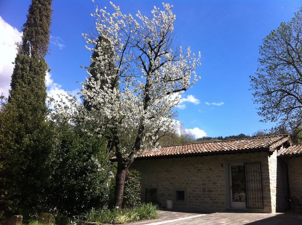 Corte San Ruffillo-Agriturism verksamhet, Bild 4