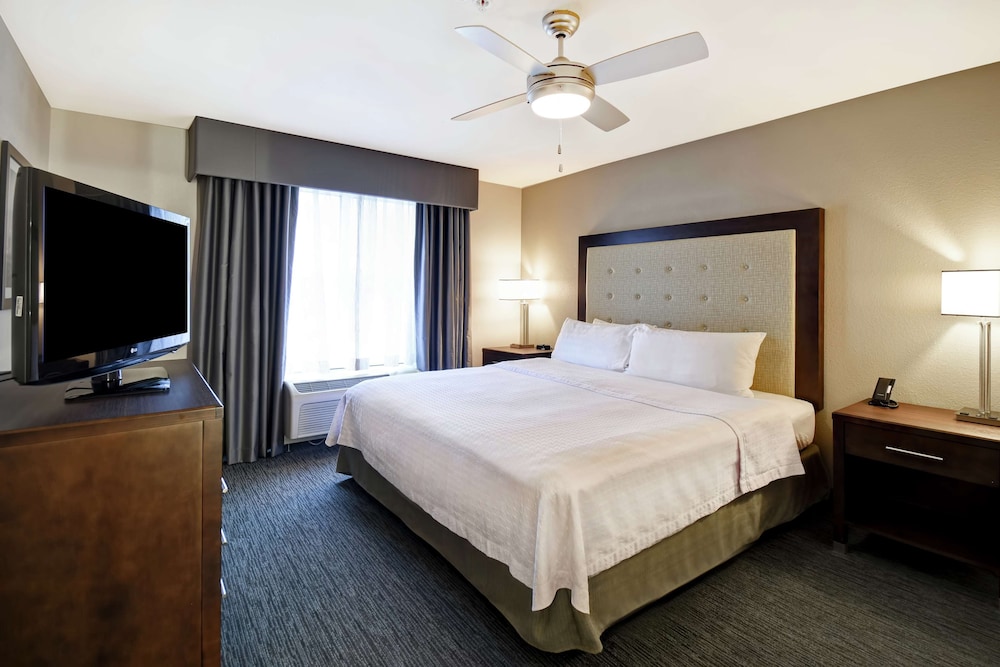 Suite, 1 King Bed photo 3