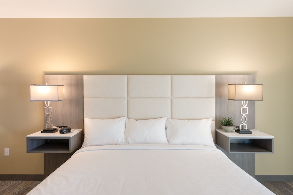 Suite, 1 King Bed photo 1