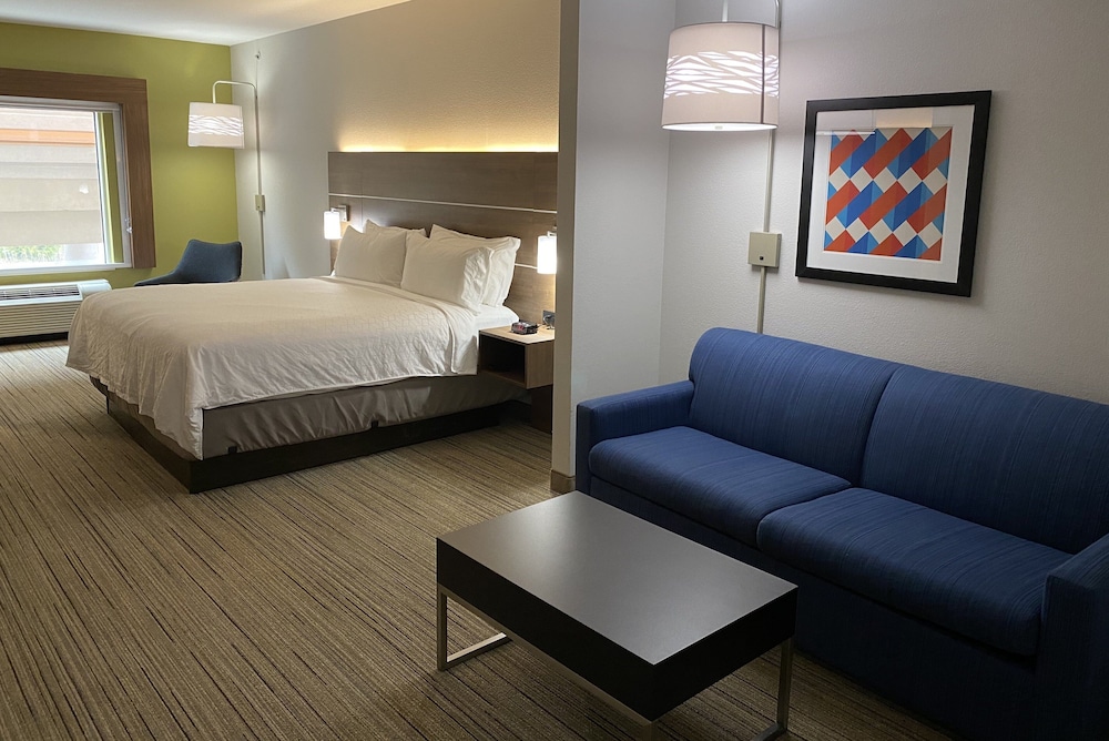Suite, 1 King Bed - Photo 1