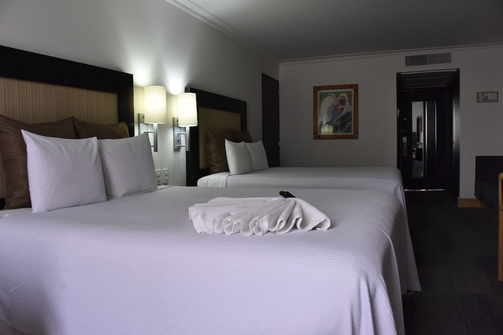 Executive Double Room photo 2