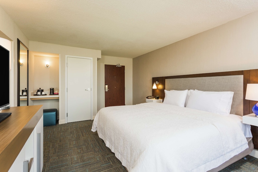 Suite, Accessible, Bathtub - Photo 4