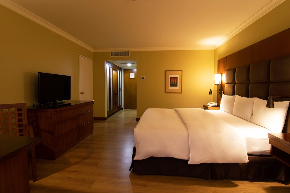Premier Room, 1 King Bed photo 3