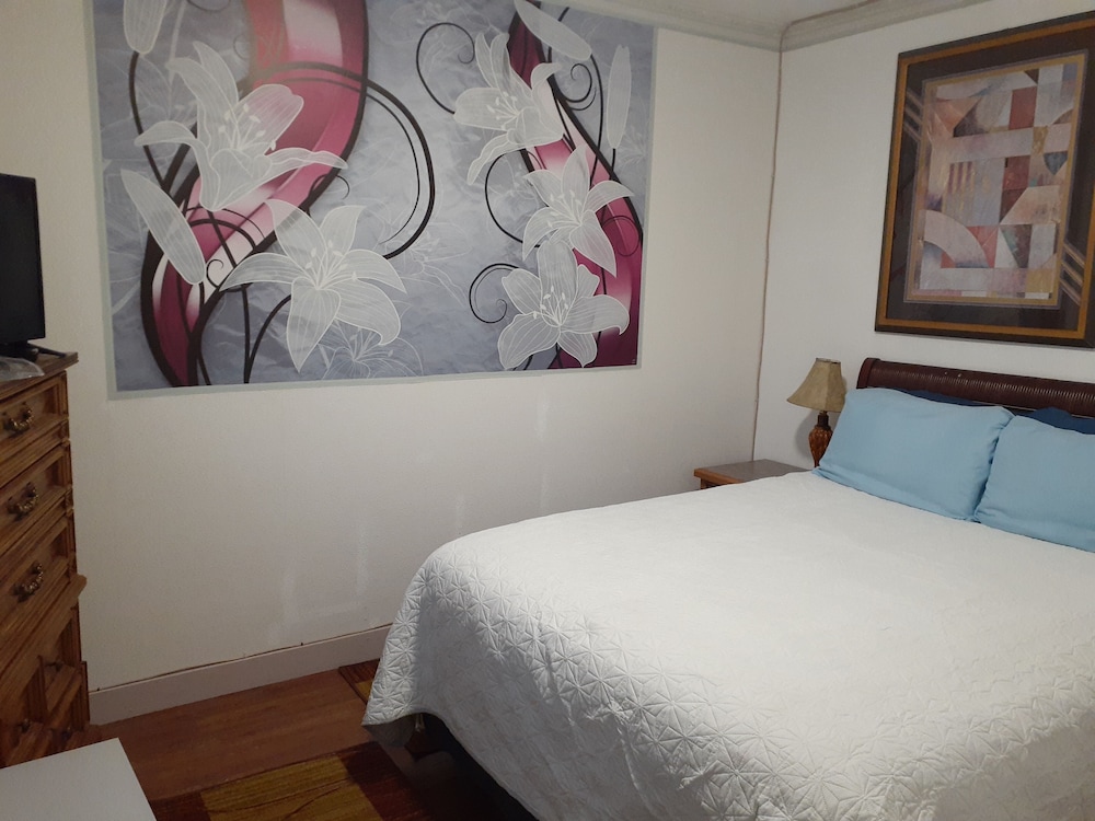 Comfort Studio photo 1