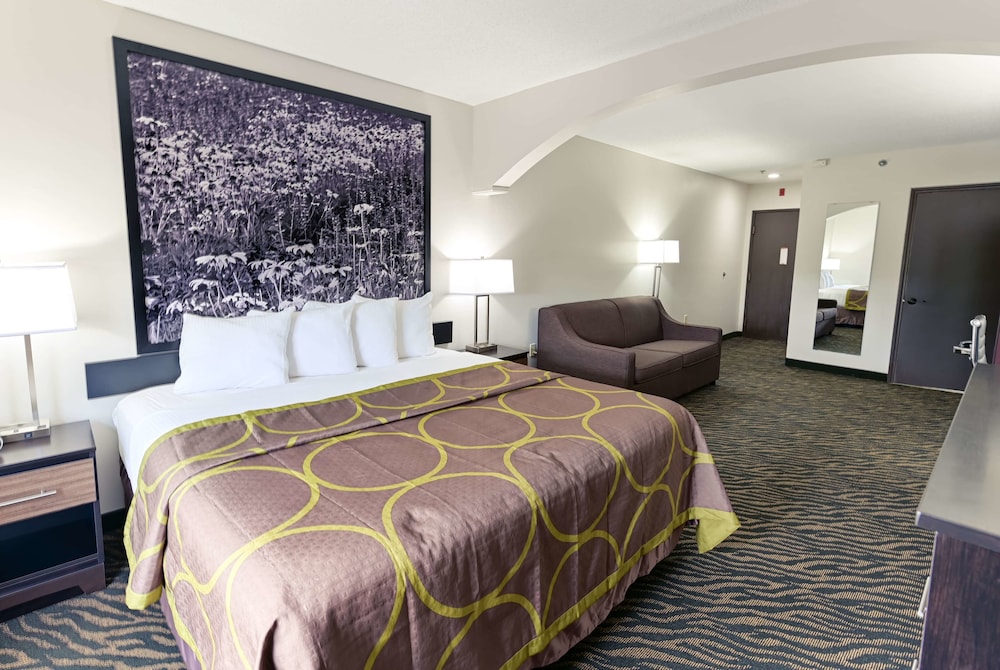 Standard Room, 1 King Bed with Sleeper Sofa, Non Smoking photo 1