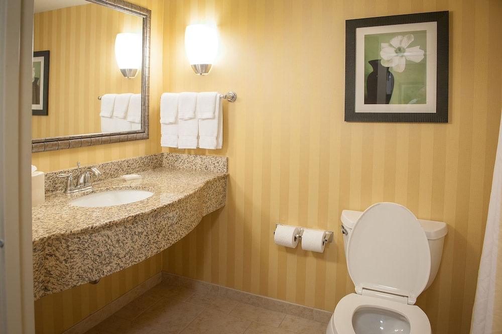 Suite, 1 King Bed, Accessible - Photo 3