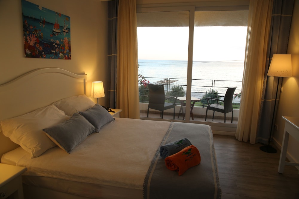 Single Room photo 1