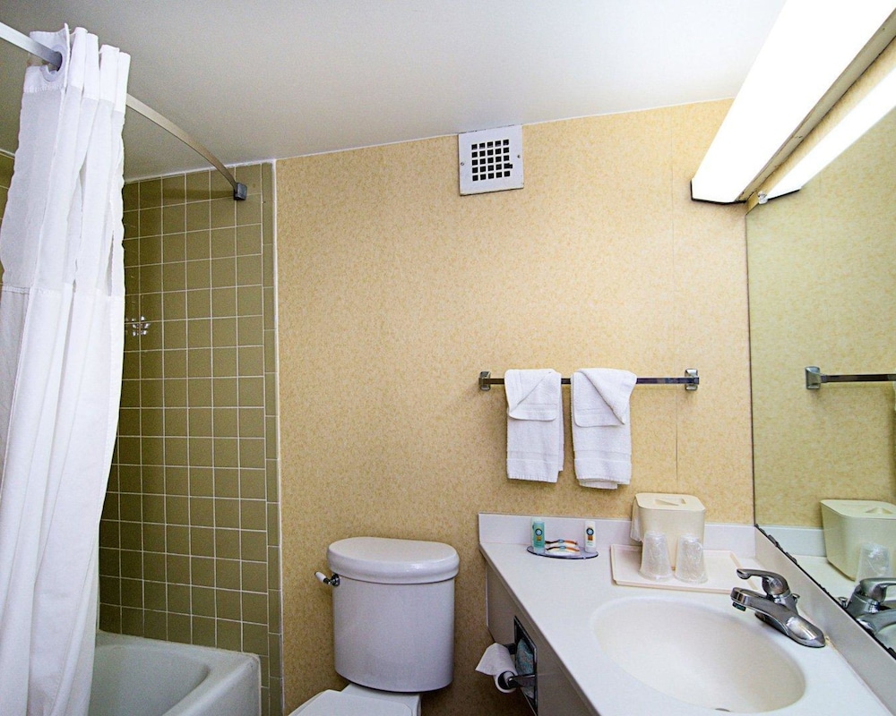Standard Double Room, 2 Double Beds, Non Smoking photo 3